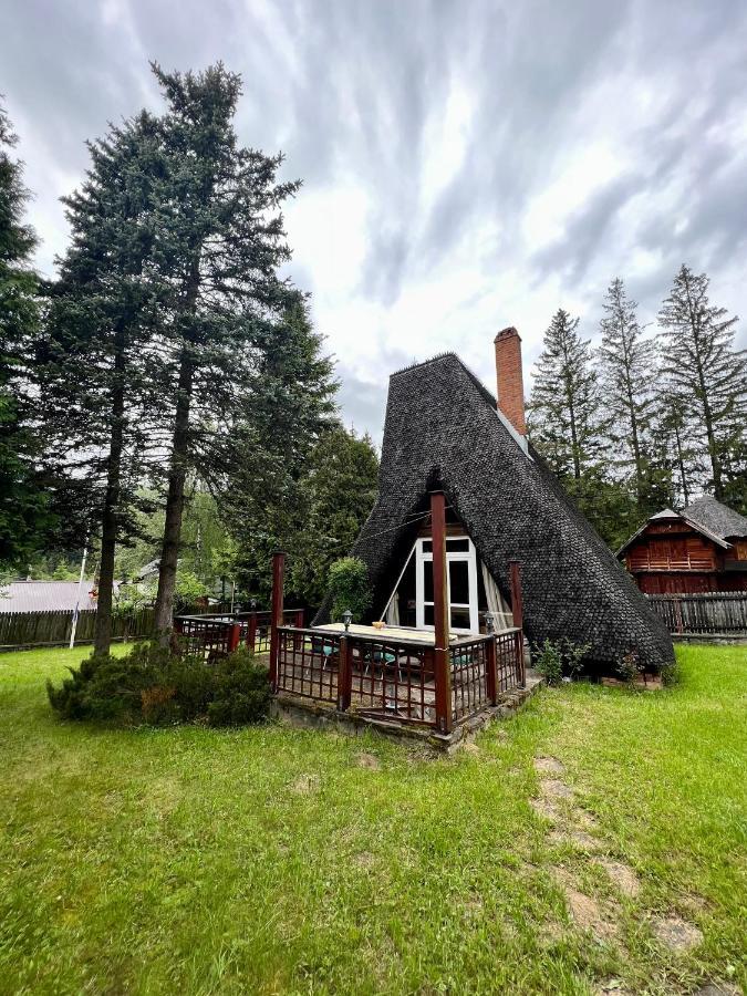 Mountain Getaway Cabin Cheia  Exteriér fotografie
