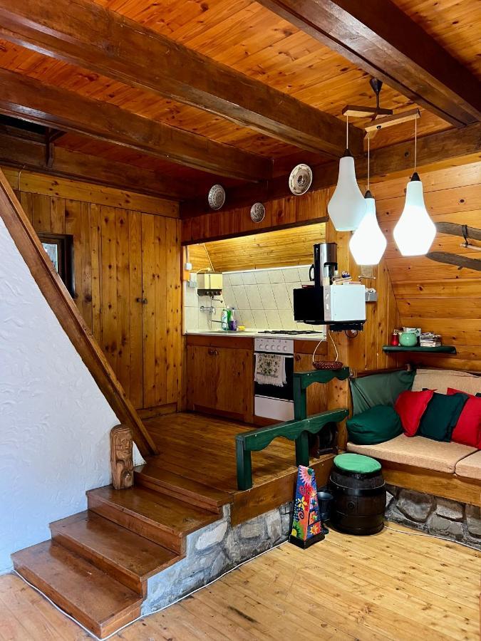 Mountain Getaway Cabin Cheia  Exteriér fotografie